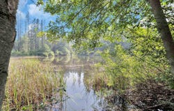 13567 Raccoon Mountain Rd, Grass Valley, CA 95945