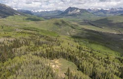 141 White Buffalo Trail, Crested Butte, CO 81224