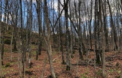 ON SKYE DR, Upson, WI 54565
