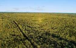Spring River Ranch Road, Williford, AR 72482