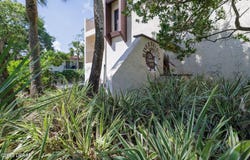 20 Tomoka Avenue, Ormond Beach, FL 32174