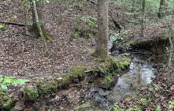 Lot 127 Water Oak Drive, Ellijay, GA 30540