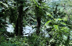 622 Da Hu Road, Melbourne, AR 72556