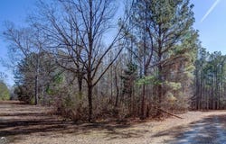 Lot 29 Benjamin Brown, Elberton, GA 30635