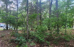Elgin Rd, CAMDEN, TN 38320