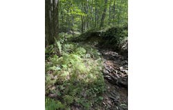 Overlook Phase 6 lot: No. 73, White Sulphur Springs, WV 24986