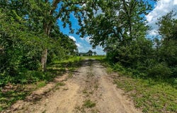 Tbd CR 201, Somerville, TX 77879