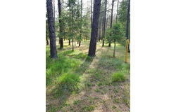 256 EAGLE DR. DR, CHEWELAH, WA 99109