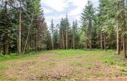 0 Bunker Hill RD, Longview, WA 98632
