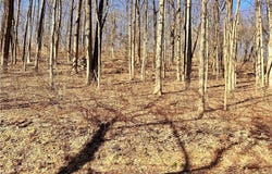 6252 Hickory Road, SLATINGTON, PA 18080