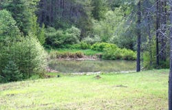 4273 Garden Spot Rd, Loon Lake, WA 99148