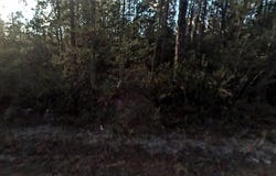 0 Forest Drive, Fountain, FL 32438