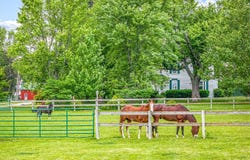 466 Quail Trap, CALEDONIA, IL 61011