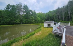 3937 Mcmahon Road, Hinsdale, NY 14743