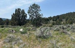 Lassen Street, Sprague River, OR 97639