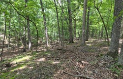 Muirfield Drive lot: 786, Sunrise Beach, MO 65079