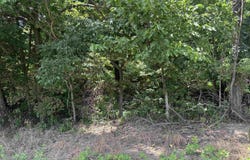 150 N/ 825 W, Hazleton, IN 47640