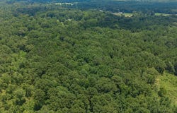 204 Silver Leaf Drive, Benton, LA 71006