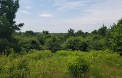 974 Merrifield Drive, Valley Grande, AL 36701