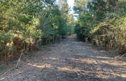 3114 Chapel Hill Rd, RUTLEDGE, AL 36071
