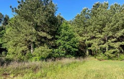 619 W Broadway Street, Big Sandy, TX 75755