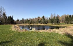 86441 CREAMERY RD, Butternut, WI 54514
