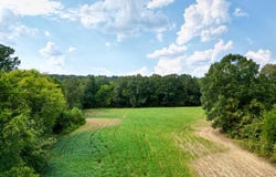 State Route 949, Dunmor, KY 42339