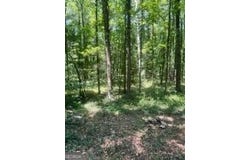 3036 JOHNSON HALE, Statham, GA 30666