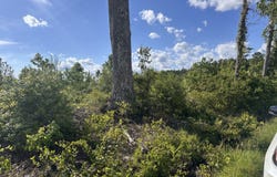 0 Mt. Holly Rd, Montrose, VA 22520