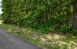 Lot 270 Gilreath Mill, Menlo, GA 30731