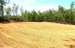 60 Nelia Road, Grenada, MS 38901