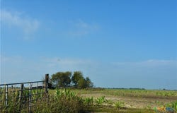 Fm 413, Rosebud, TX 76680
