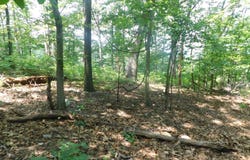 0 LARKIN RIDGE ROAD, FRONT ROYAL, VA 22630