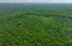 V/L 10.09a E Abermanis Trail, Luther, MI 49656