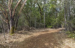 234 Lurline Lane, Cave Junction, OR 97523