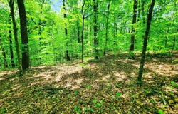 Evergreen Cove, Kingston, TN 37763
