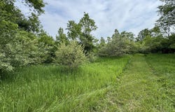 V/L 200th Ave, Tustin, MI 49688