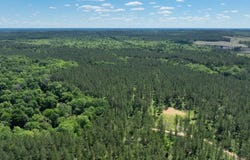 - Three Mile Stretch, Ellisville, MS 39437