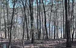Hot Springs Village, AR 71909