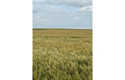 000 232 Rd, Burdett, KS 67523