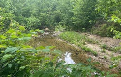 5025 Kolb Hollow Road, Climax Springs, MO 65324