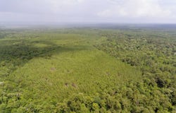 TBD Old Beaumont Highway, Silsbee, TX 77656