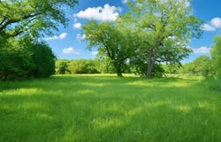 TBD COUNTY ROAD 424, May, TX 76857