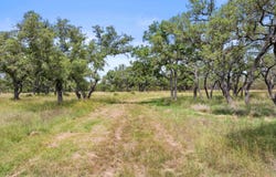 997 Sandy Oaks Ranch Road, Johnson City, TX 78636