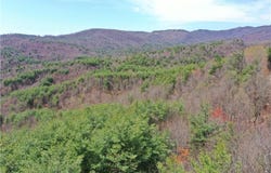000 Big Ivy Road, Purlear, NC 28665
