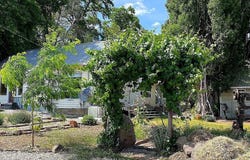 42528 County Road 1, Unincorporated, CA 96115