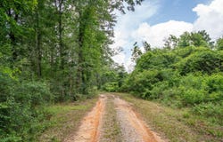 00 Horseshoe Ln., Petal, MS 39465