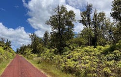 11-3035 WAIMAKA O PELE RD, Mountain View, HI 96771