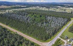 00 Wetzel Lake Road, Mancelona, MI 49659
