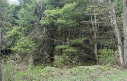Fairmont Road, Starrucca, PA 18462